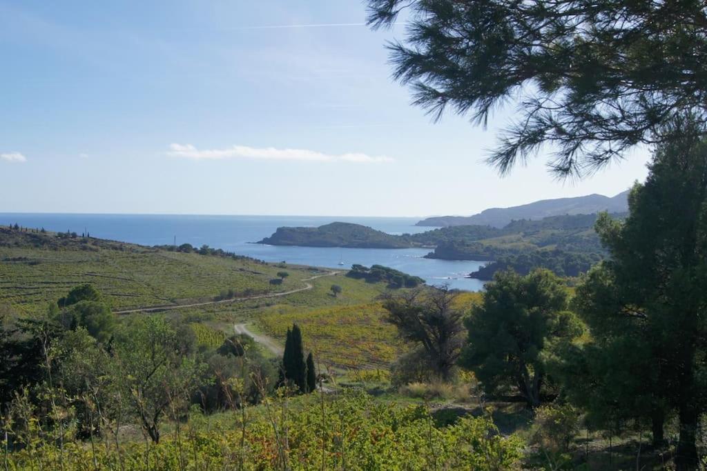 Kazadiza Superbe T4, Classe 3 Etoiles, Sur Le Port Port Vendres Εξωτερικό φωτογραφία